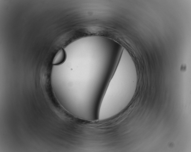 X0000103260408200808291047