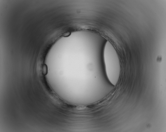 X0000103260410200808291047