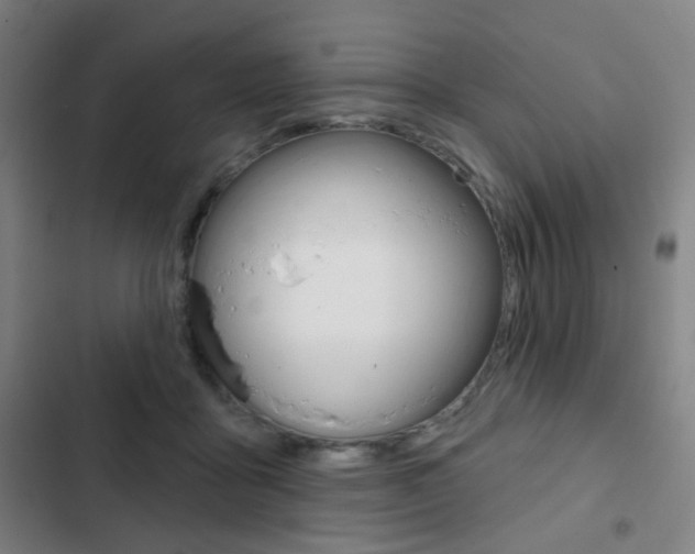 X0000103260411200808291047