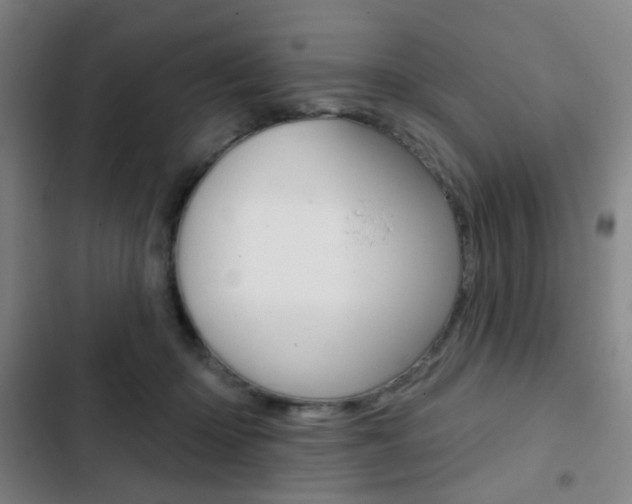 X0000103260414200808291047