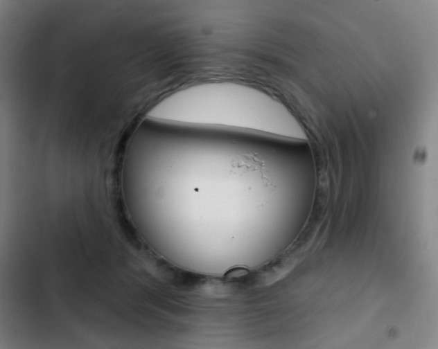 X0000103260416200808291047