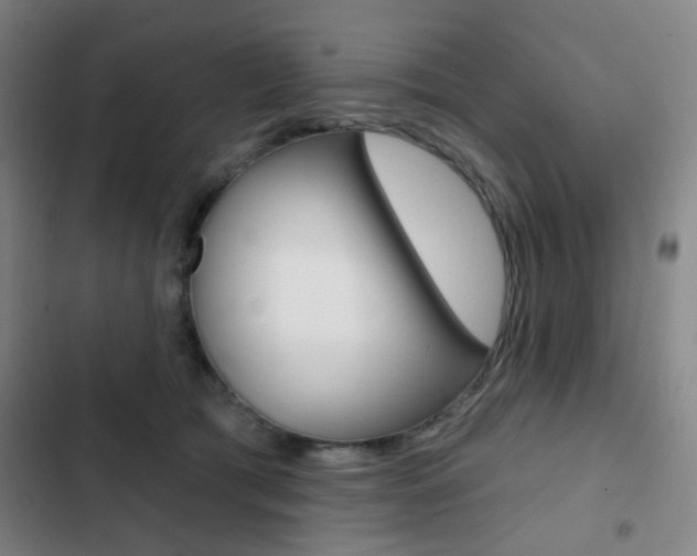 X0000103260417200808291047