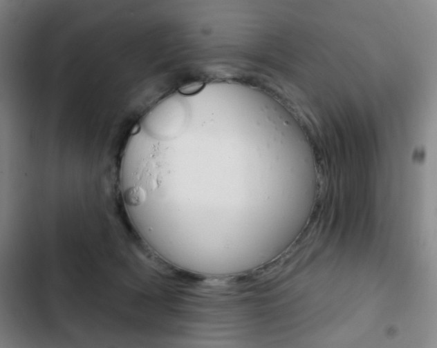 X0000103260418200808291047