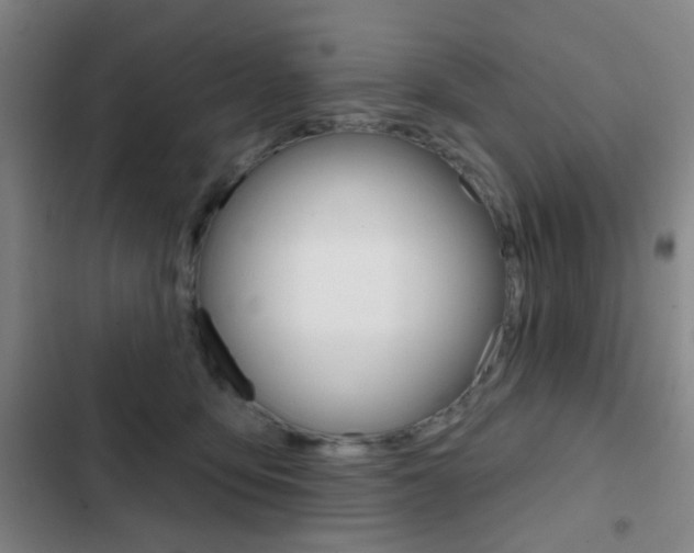 X0000103260419200808291047