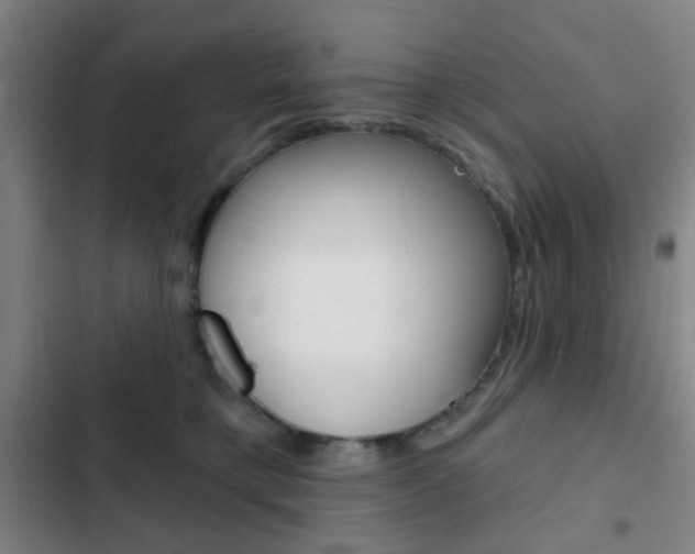 X0000103260421200808291047