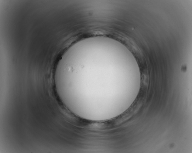 X0000103260422200808291047