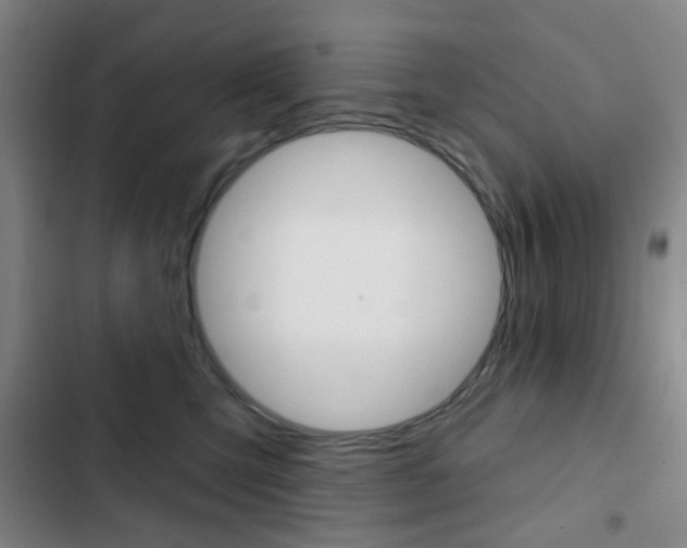 X0000103260423200808291047