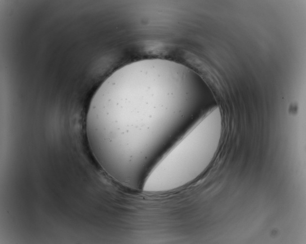 X0000103260424200808291047