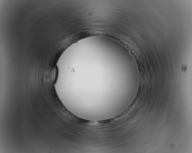 X0000103260425200808291047