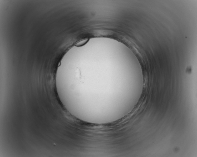 X0000103260426200808291047