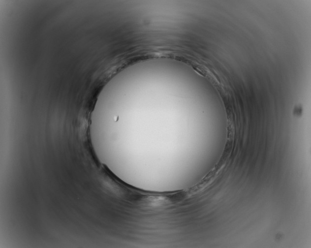 X0000103260427200808291047