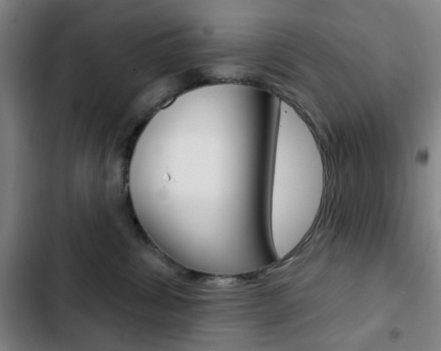 X0000103260428200808291047