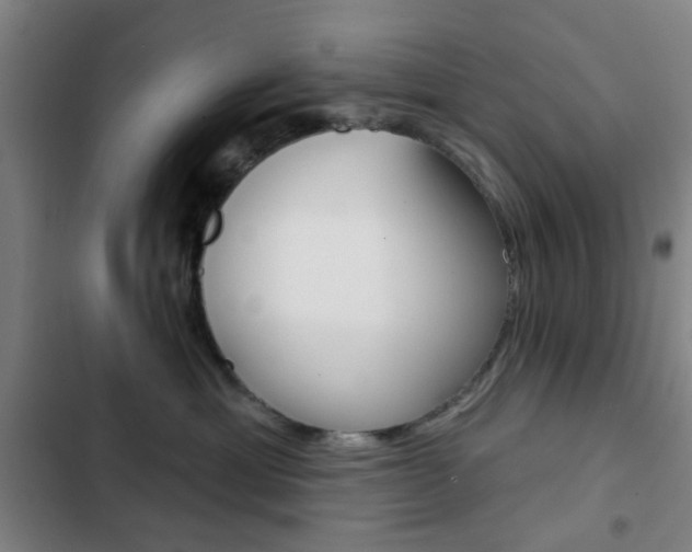 X0000103260429200808291047