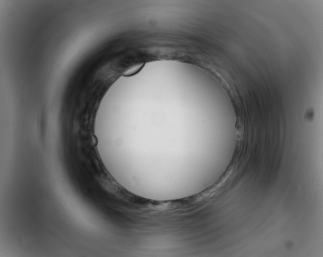 X0000103260430200808291047