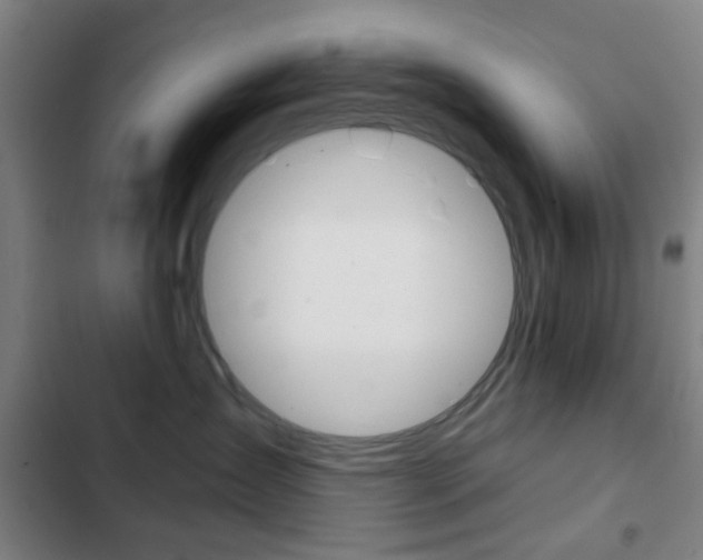 X0000103260431200808291047