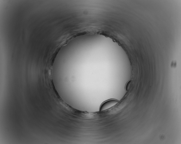 X0000103260432200808291047