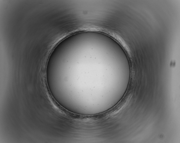 X0000103260433200808291046