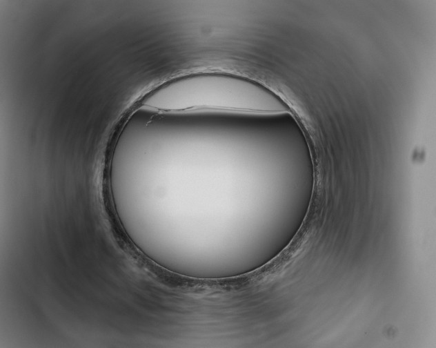 X0000103260434200808291046