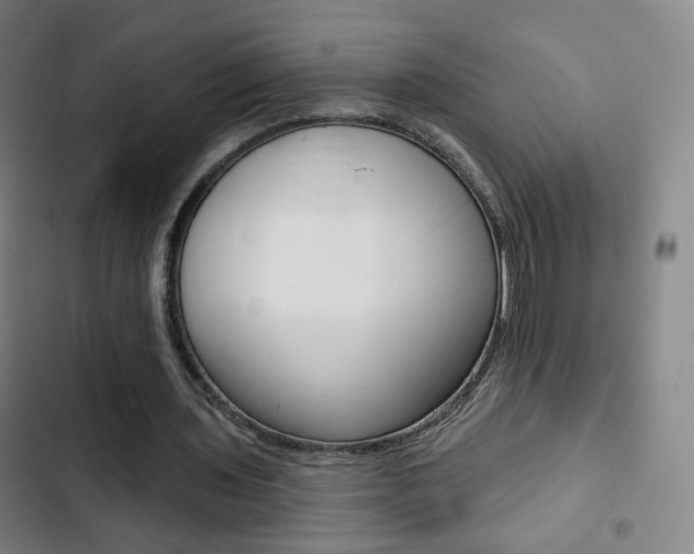 X0000103260435200808291046