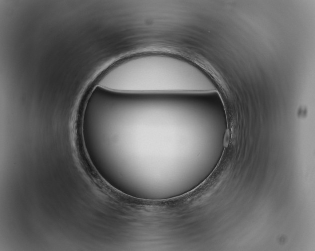 X0000103260436200808291046