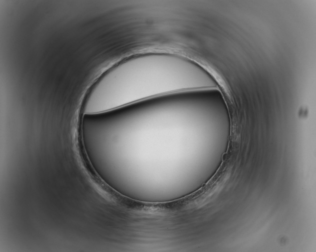 X0000103260437200808291046