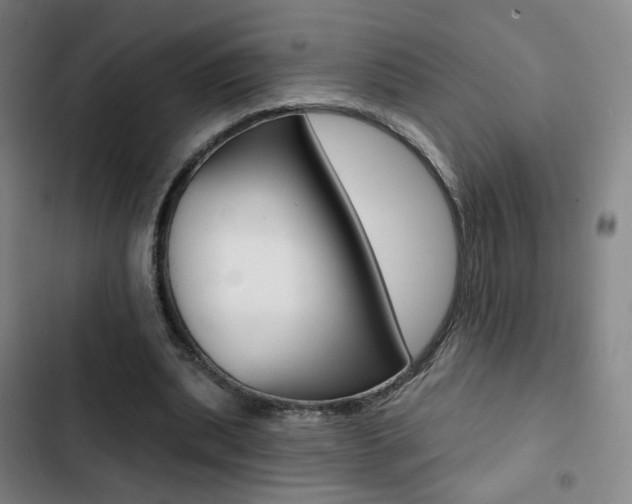 X0000103260439200808291046