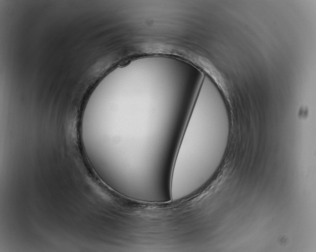 X0000103260441200808291046