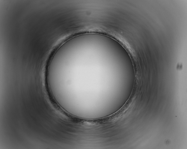 X0000103260442200808291046