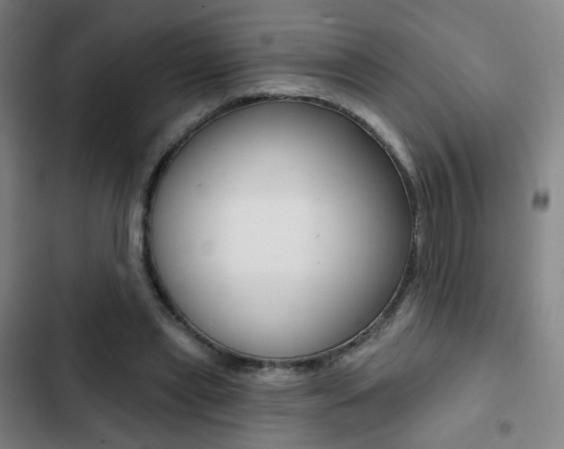 X0000103260445200808291046