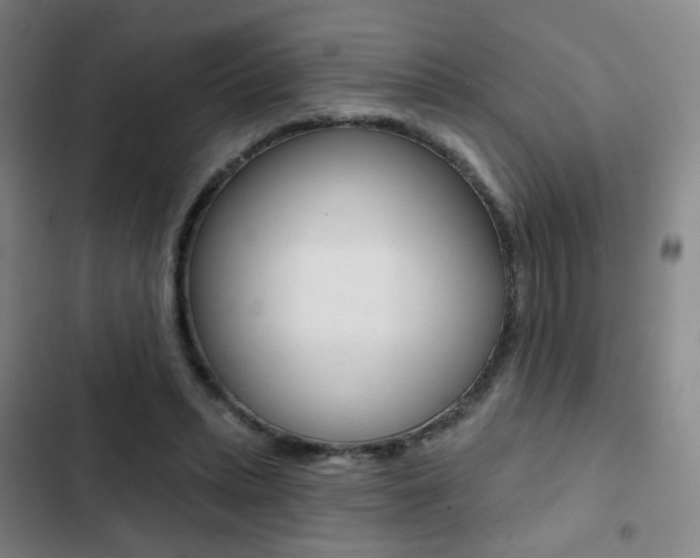 X0000103260447200808291046