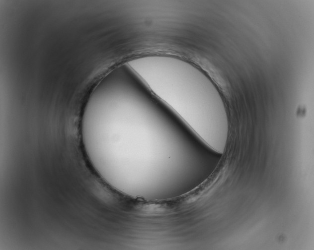 X0000103260449200808291046