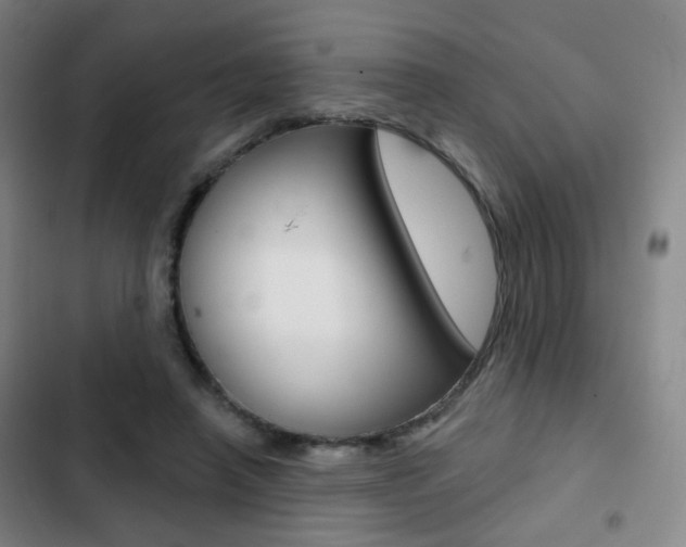 X0000103260450200808291046