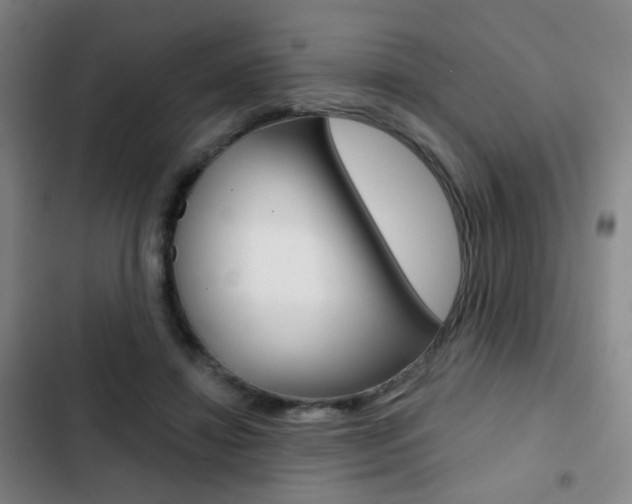 X0000103260452200808291046