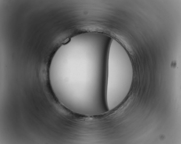 X0000103260453200808291046