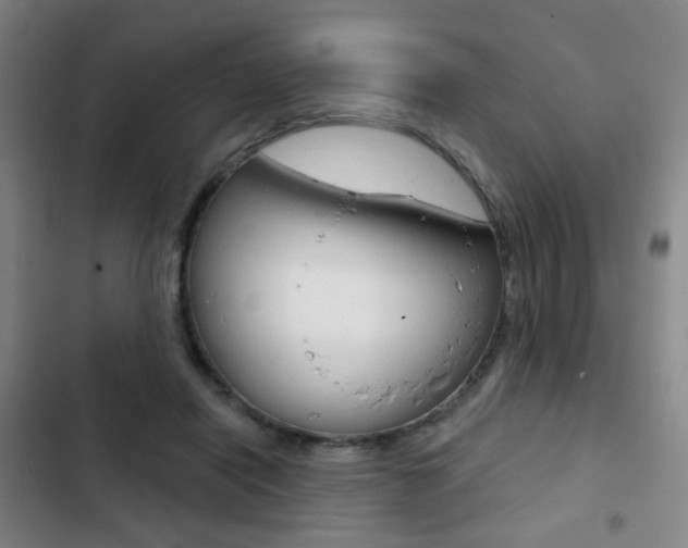 X0000103260454200808291046