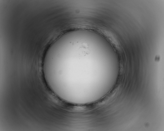 X0000103260457200808291046