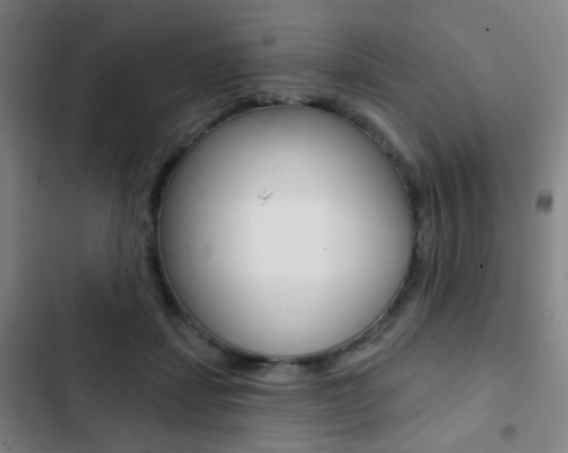 X0000103260459200808291046