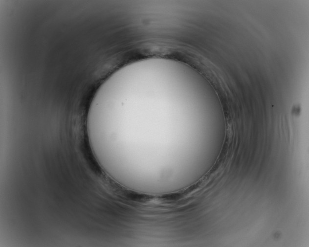 X0000103260460200808291046