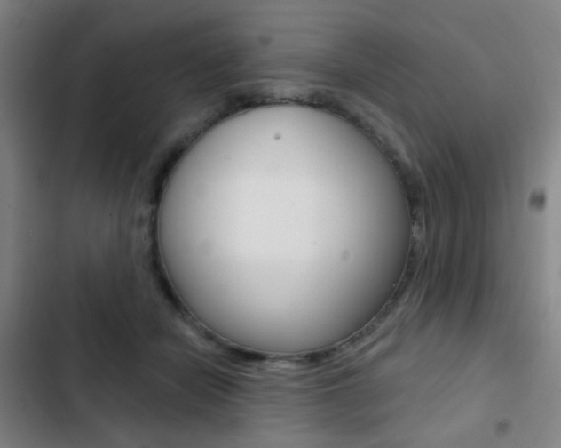 X0000103260462200808291046