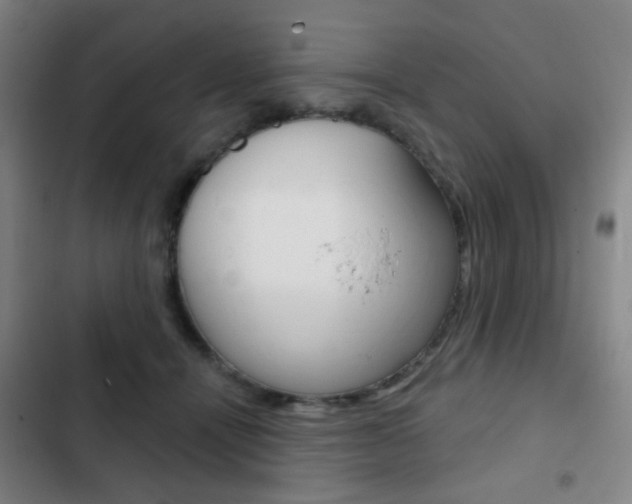 X0000103260464200808291046