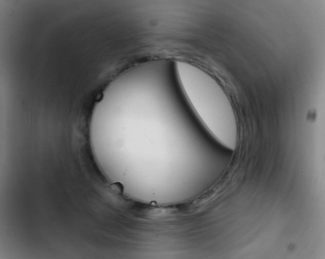 X0000103260465200808291046