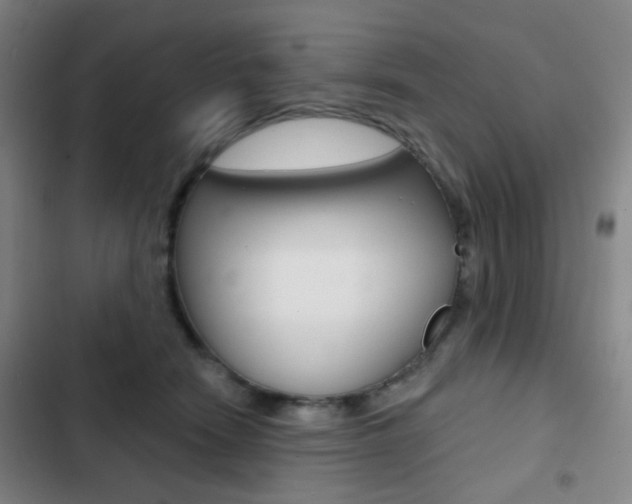 X0000103260466200808291046