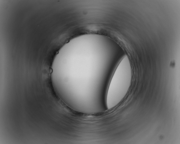 X0000103260467200808291046