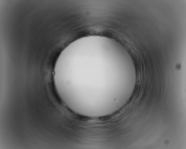 X0000103260468200808291046