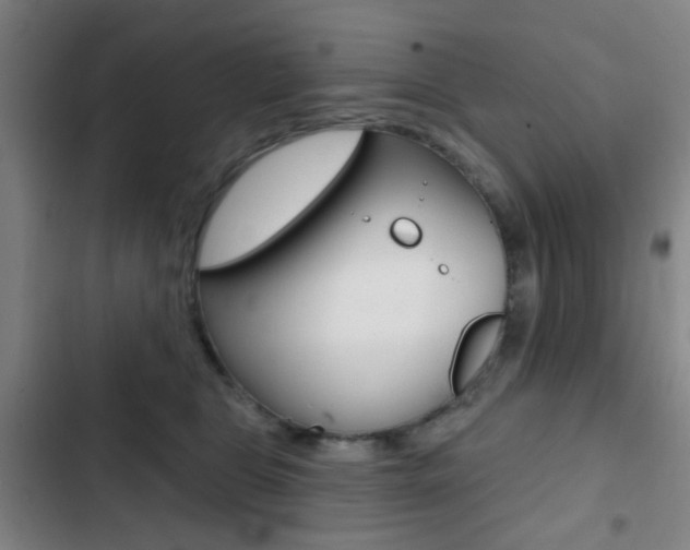 X0000103260469200808291046