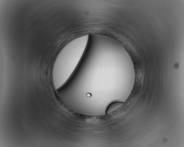 X0000103260470200808291047