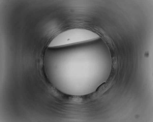 X0000103260471200808291047