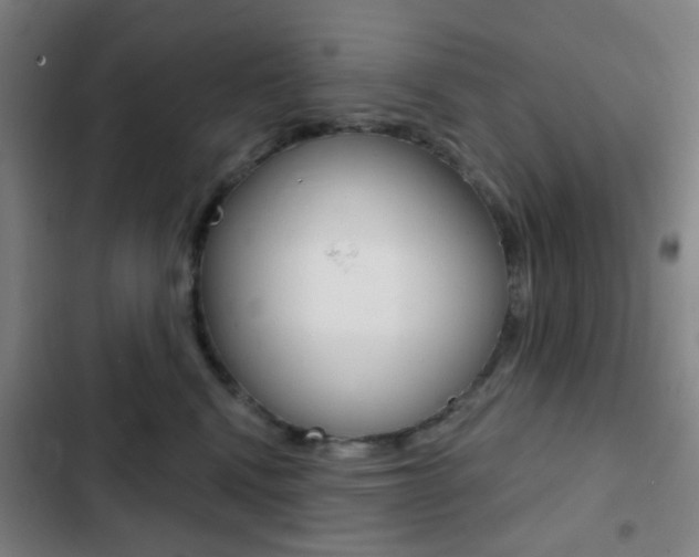 X0000103260472200808291047