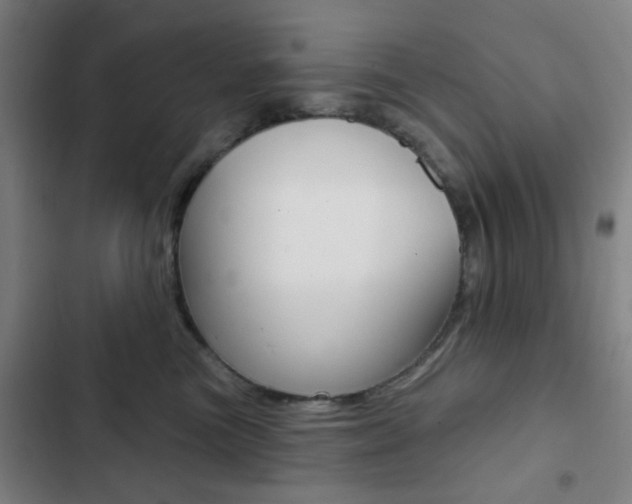 X0000103260473200808291047