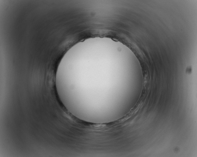 X0000103260474200808291047